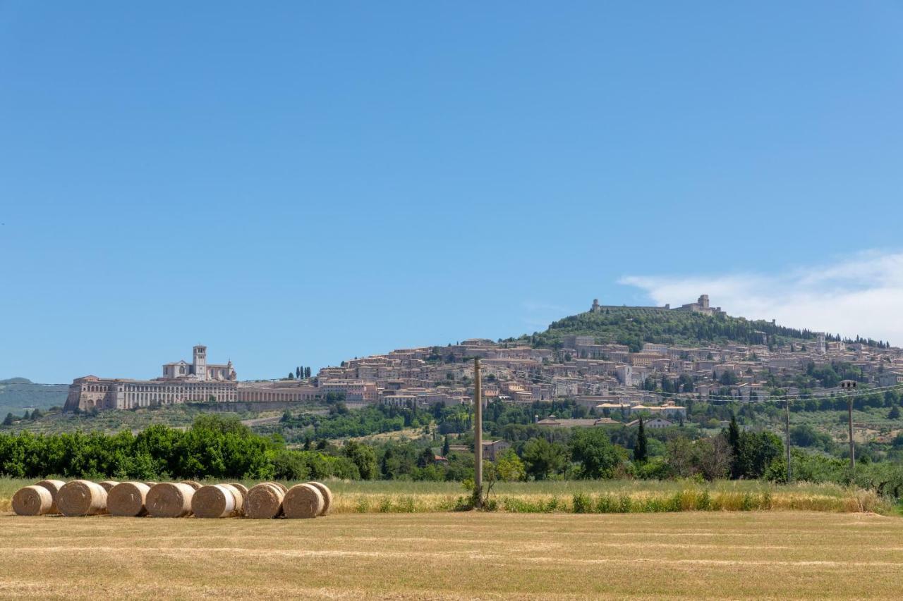 Hotel Villa Elda Assisi Exterior photo